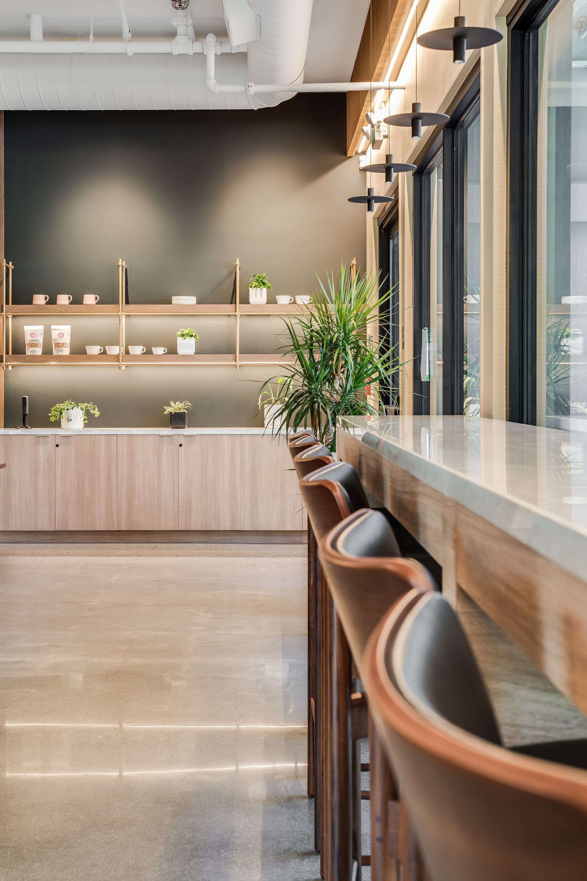 Modern cafe interior with wooden bar seating, shelves, and large windows