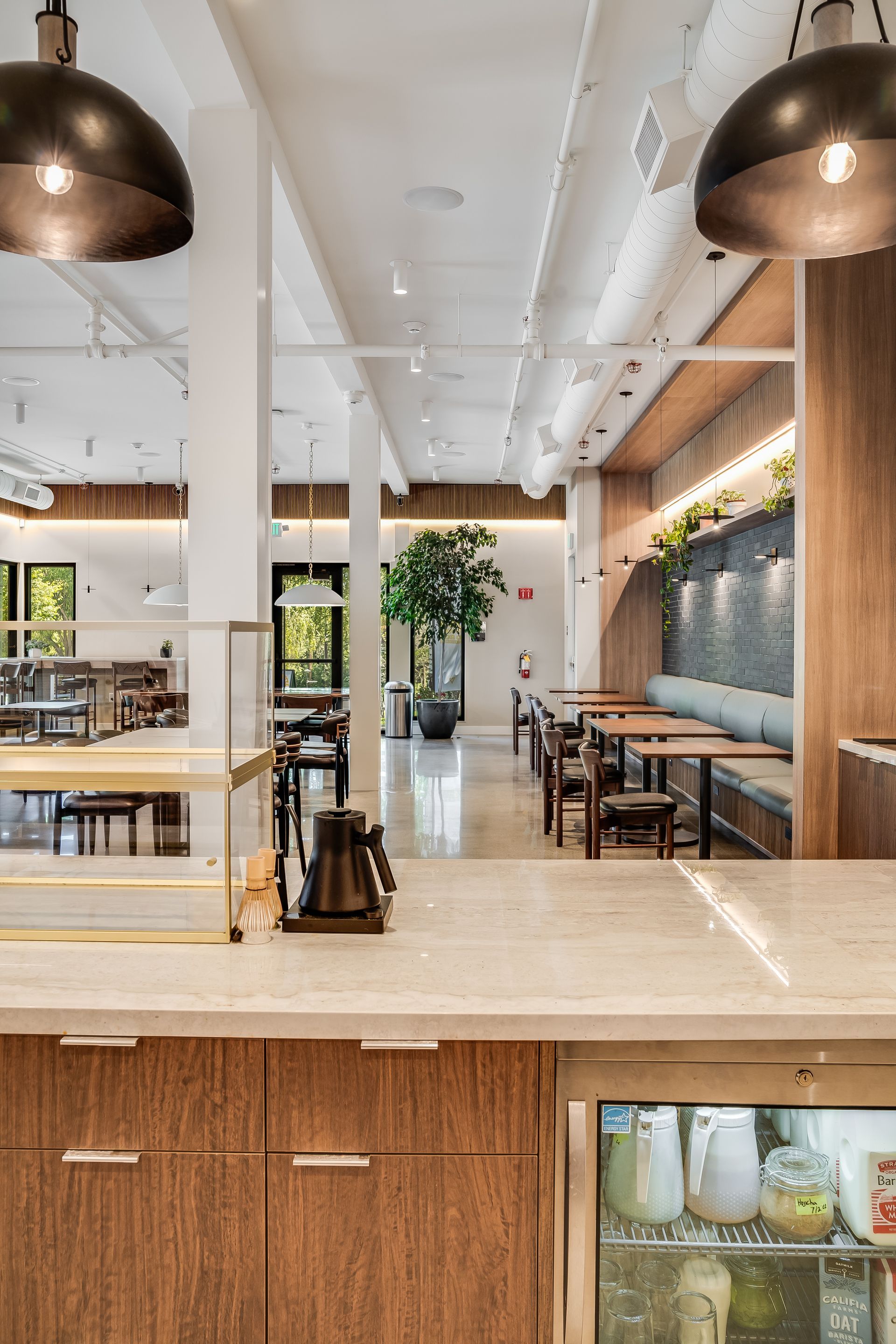 Modern café interior with wood counters, hanging pendant lights, tables, and a large plant near windows