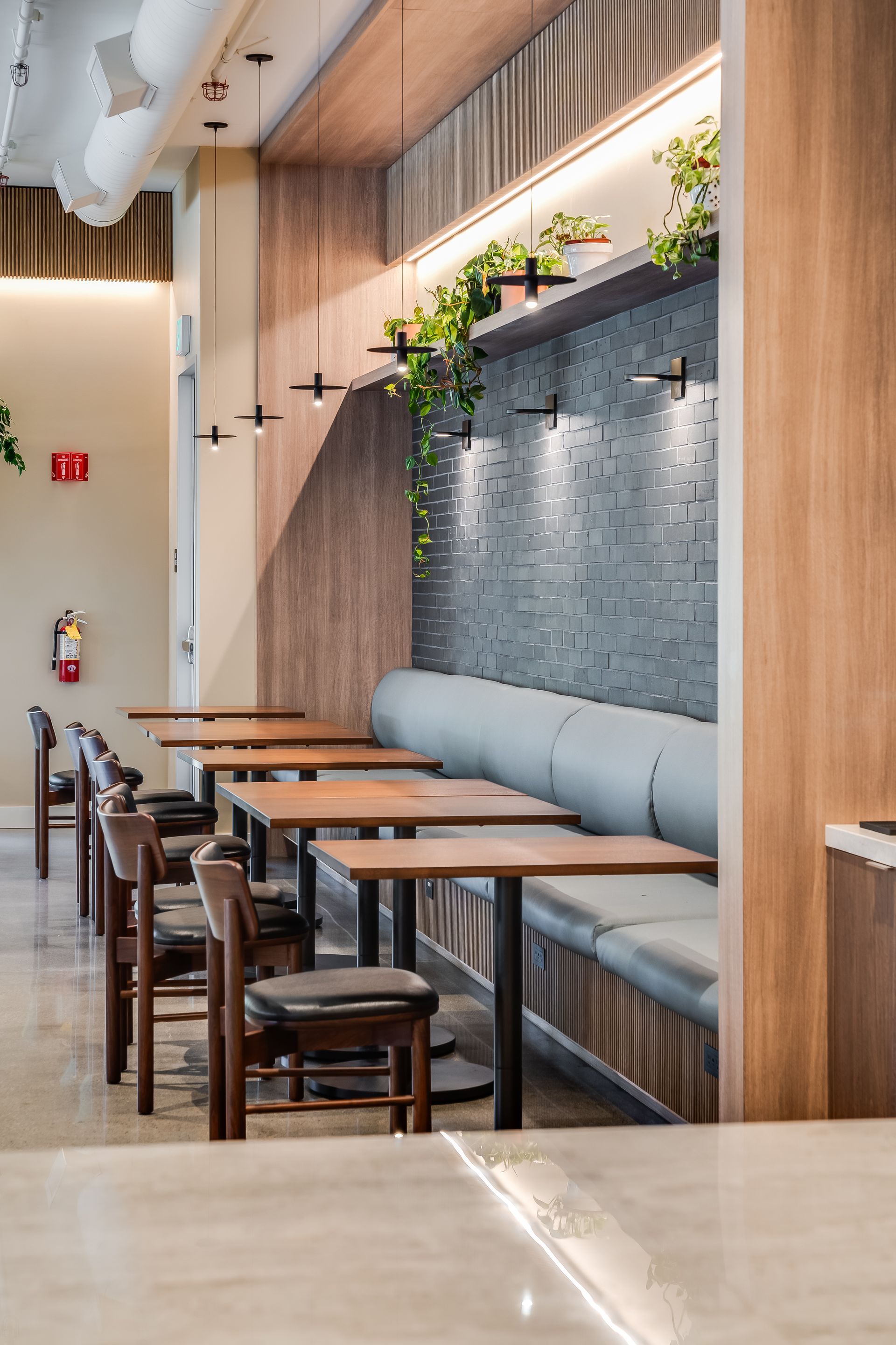 Empty modern restaurant seating with wooden tables, chairs, and a blue cushioned bench against a textured wall.