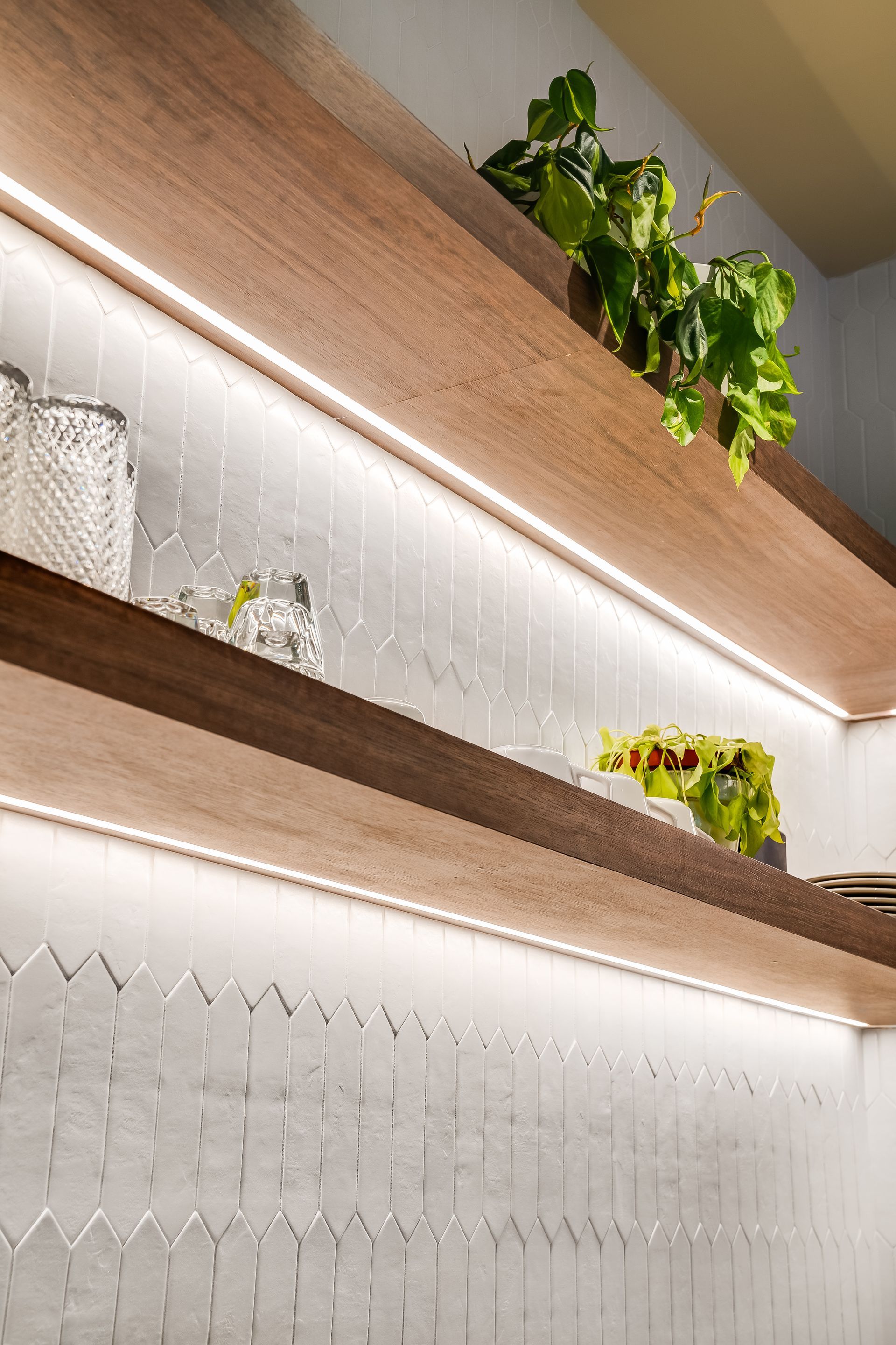 Wood shelves with backlit white panels and small green plants in a modern interior wall display