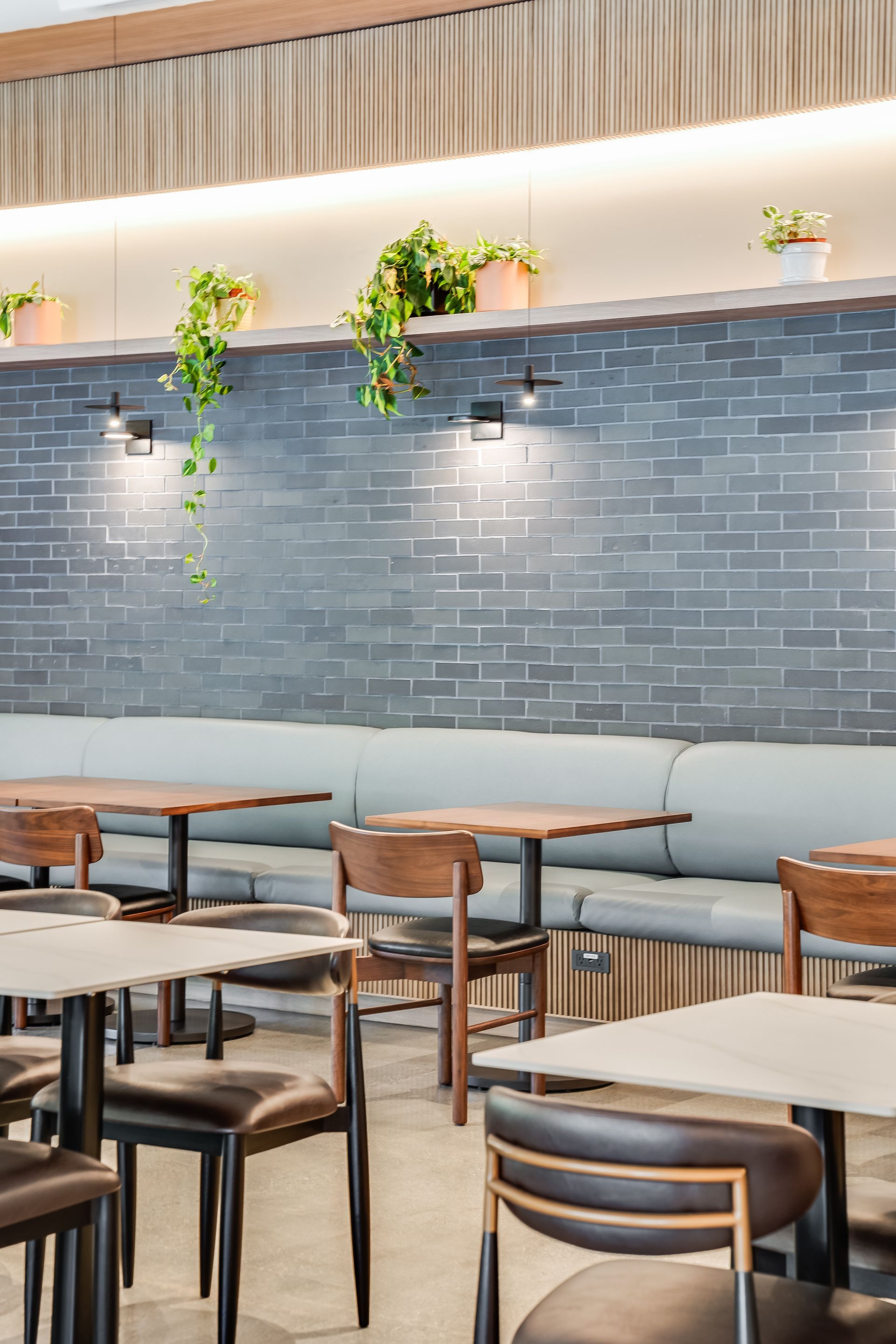 Modern café interior with empty wooden tables, benches, a blue tiled wall, and hanging plants.