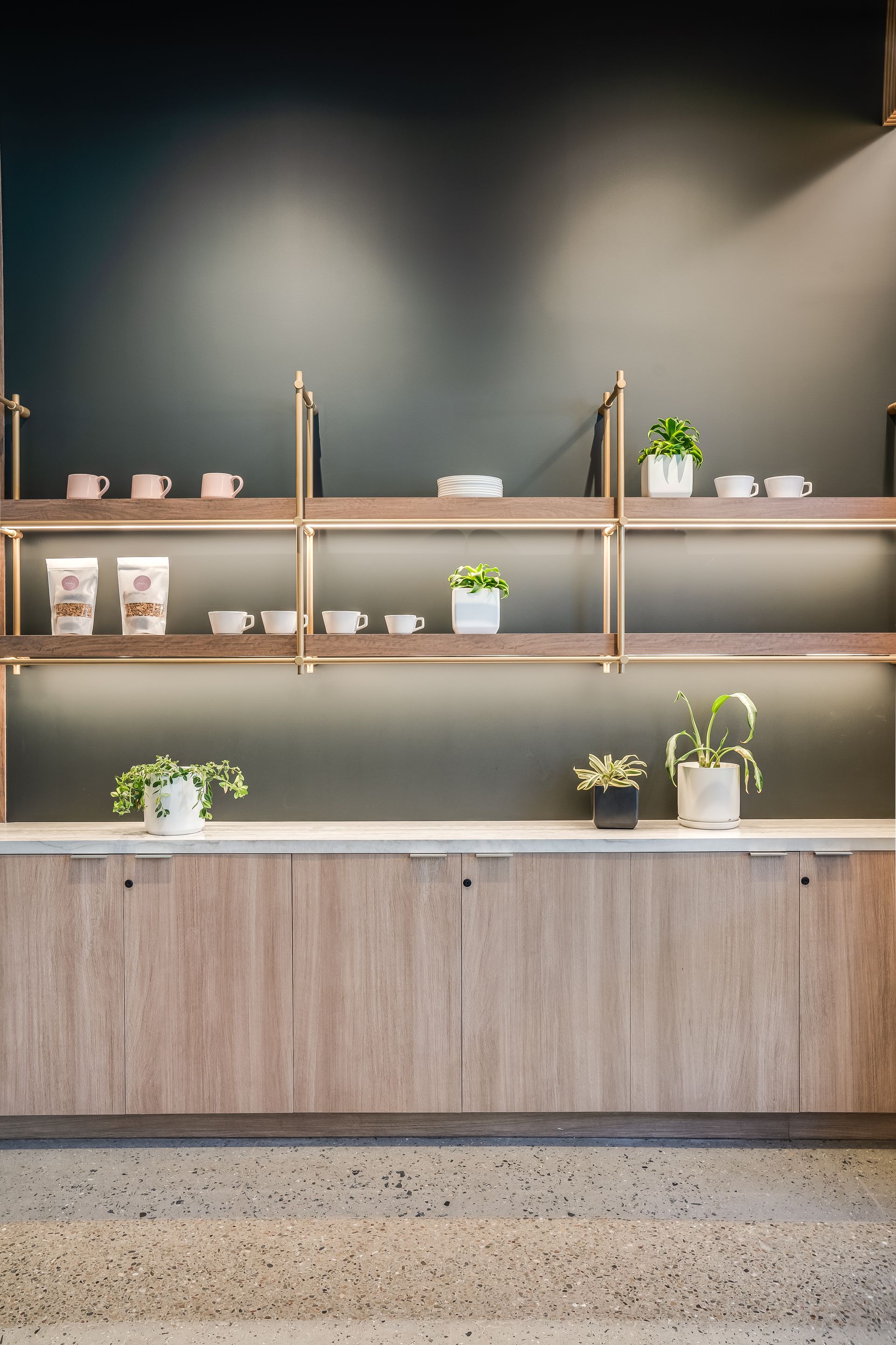 Modern minimalist shelving with small potted plants against a dark wall and wood cabinet below