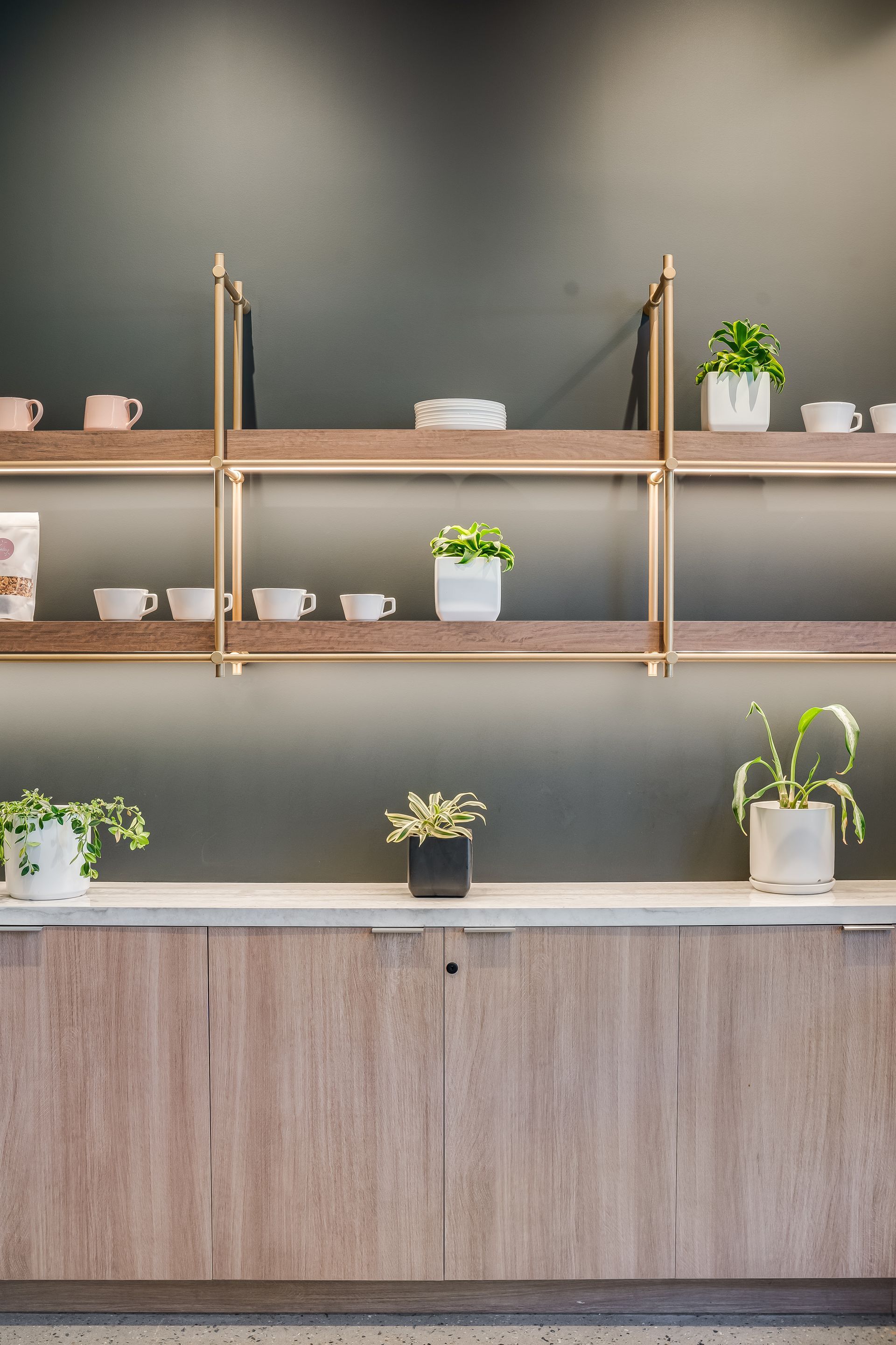 Minimalist café counter with wooden shelves, white cups, and small potted plants against a dark wall