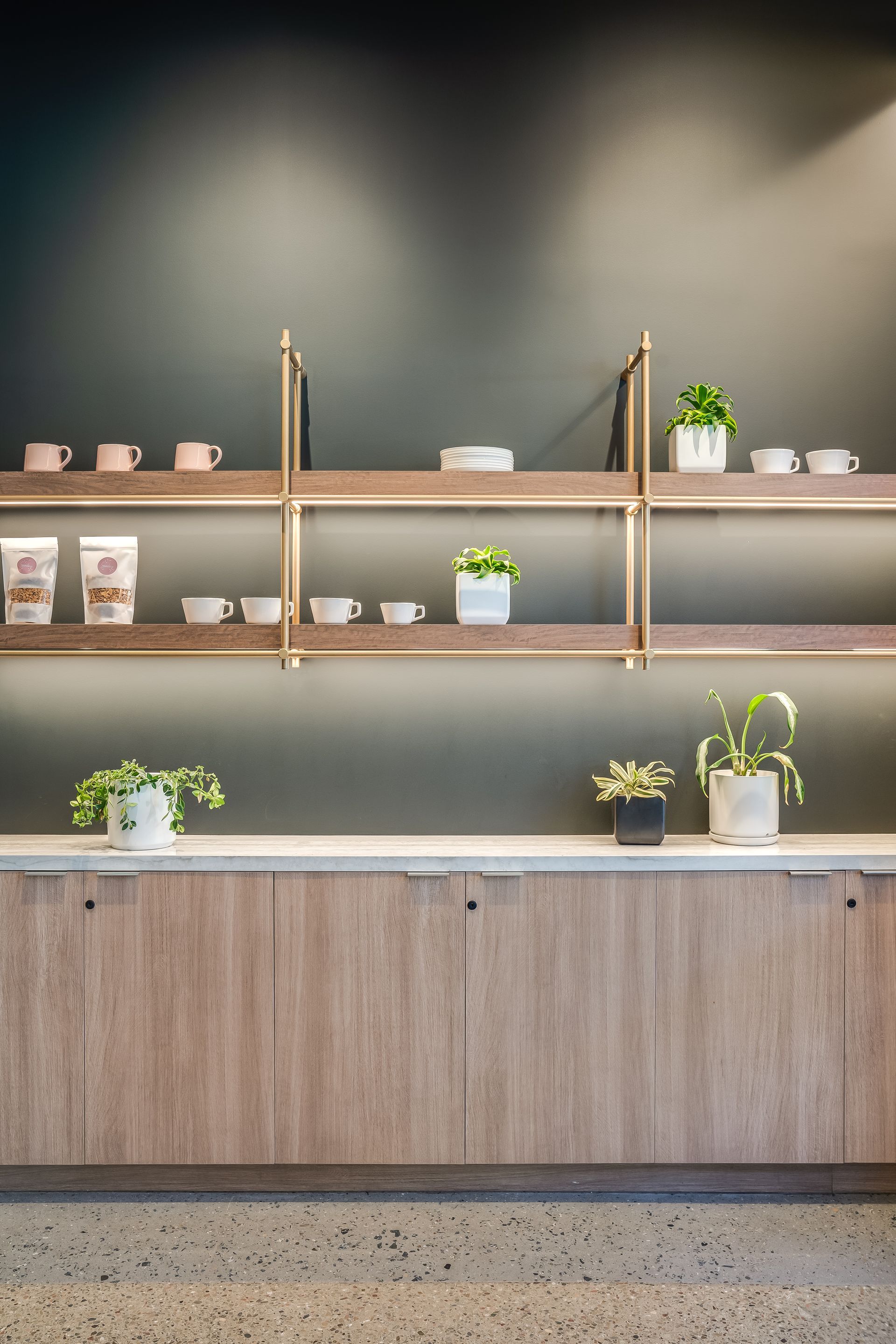 Modern café counter with wooden cabinets, shelves, mugs, and small potted plants against a dark wall