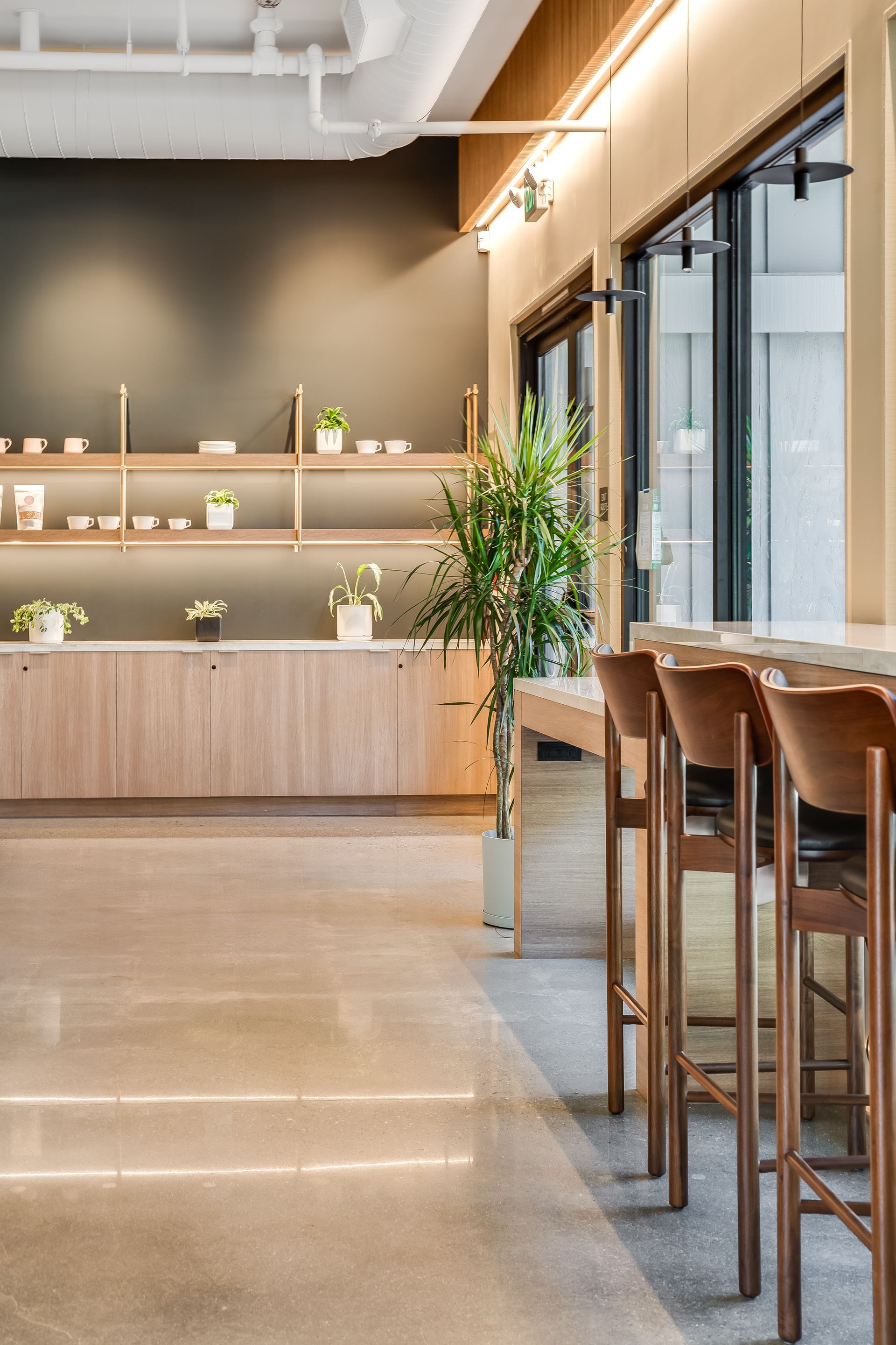 Modern cafe interior with wooden stools, a long counter, and shelves with plants and decor