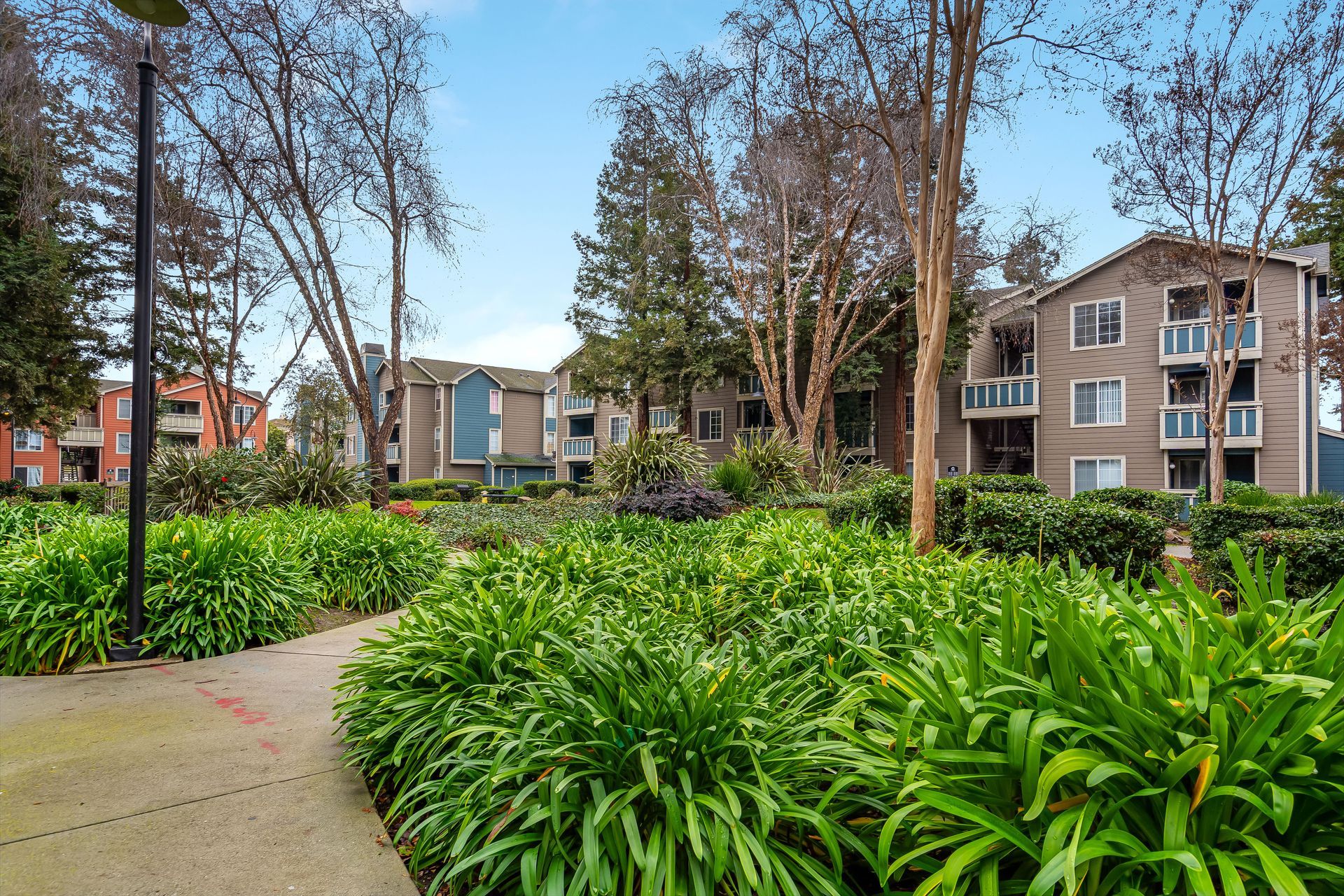 Path through lush green courtyard with apartment buildings and tall trees under a partly cloudy sky