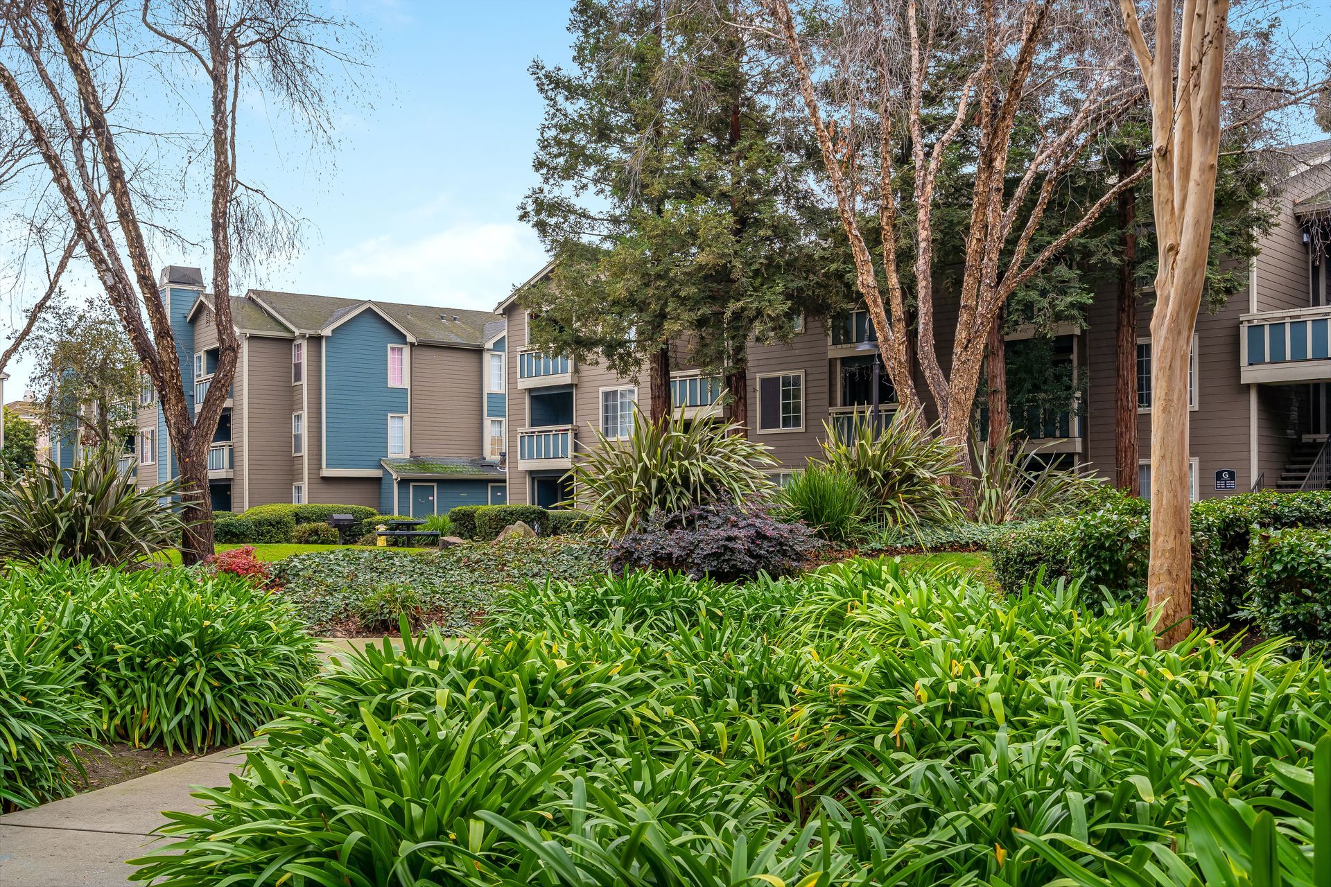 Apartment buildings behind lush green landscaping and tall trees