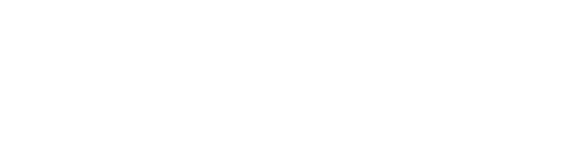 Essential Home Solutions
