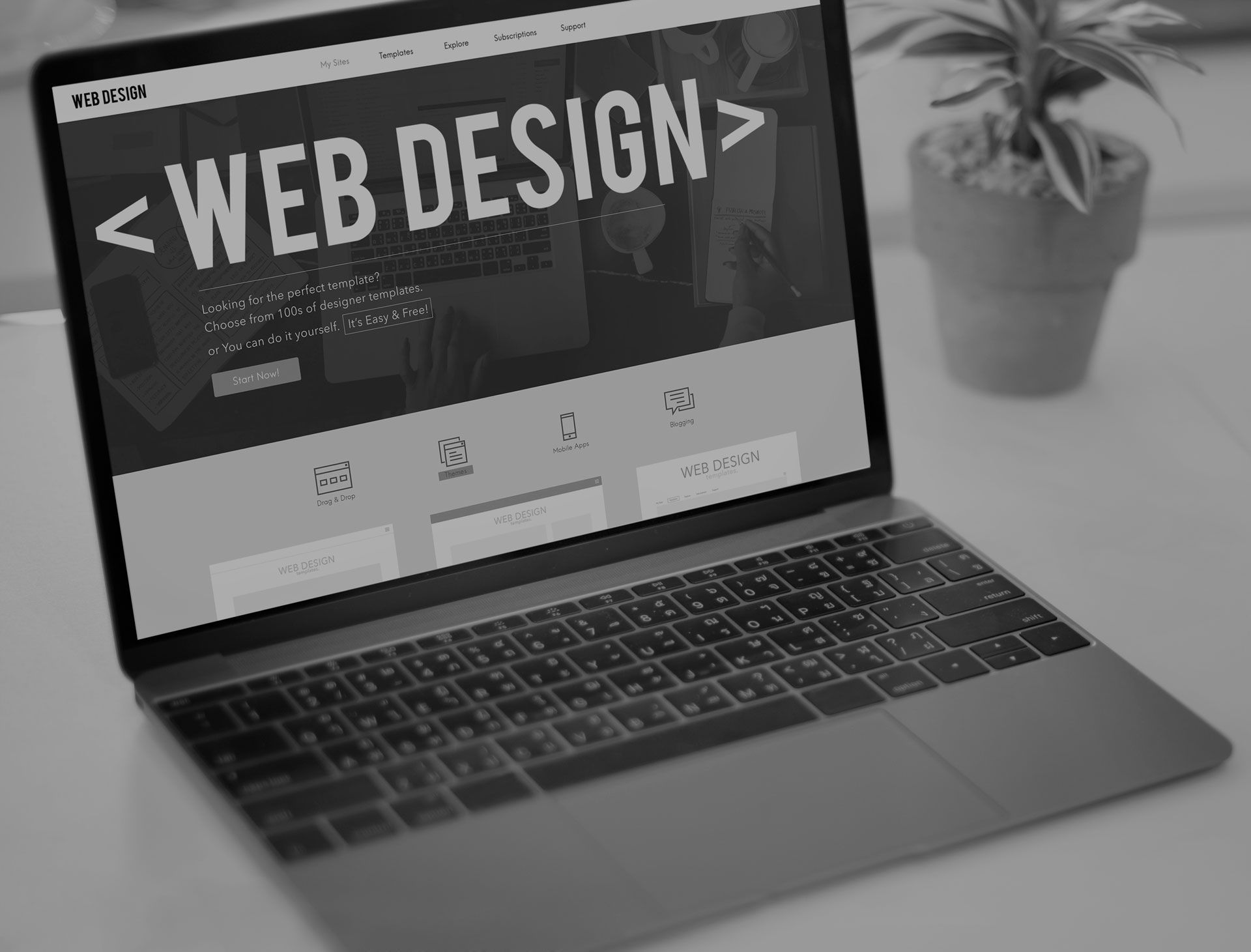 Laptop displaying a web design webpage on a desk, with a small potted plant beside it.