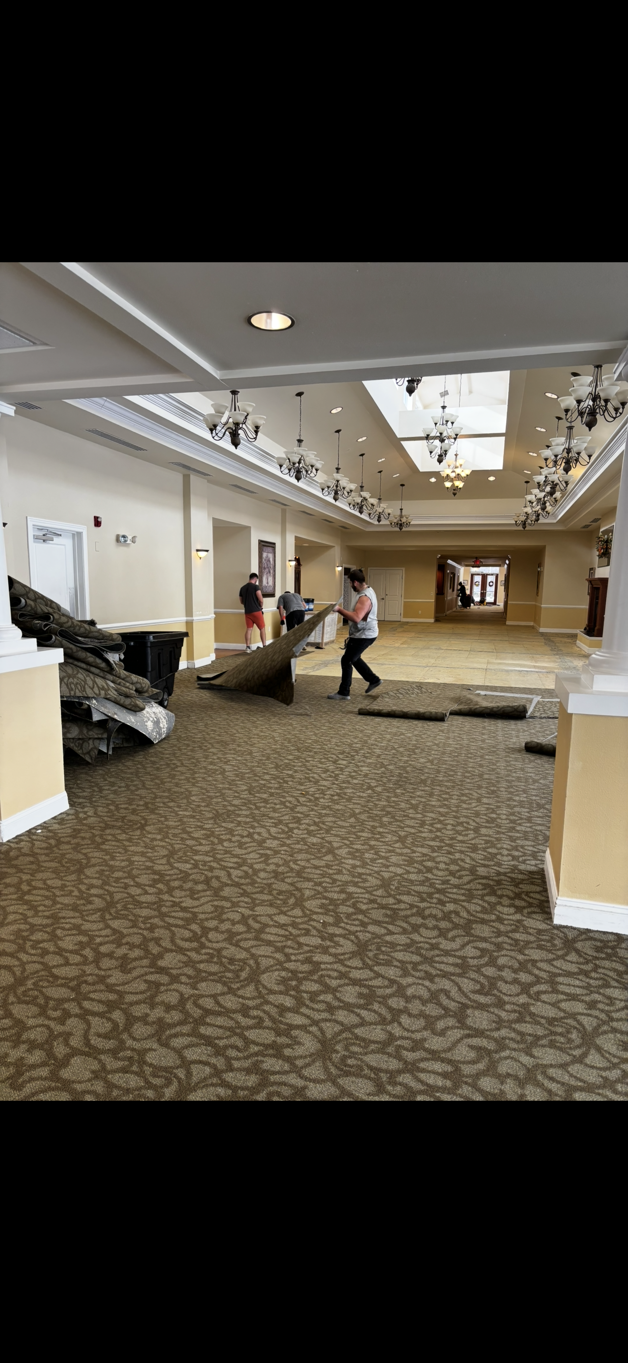 People removing carpet in a large room. The carpet is patterned; the walls are light-colored.
