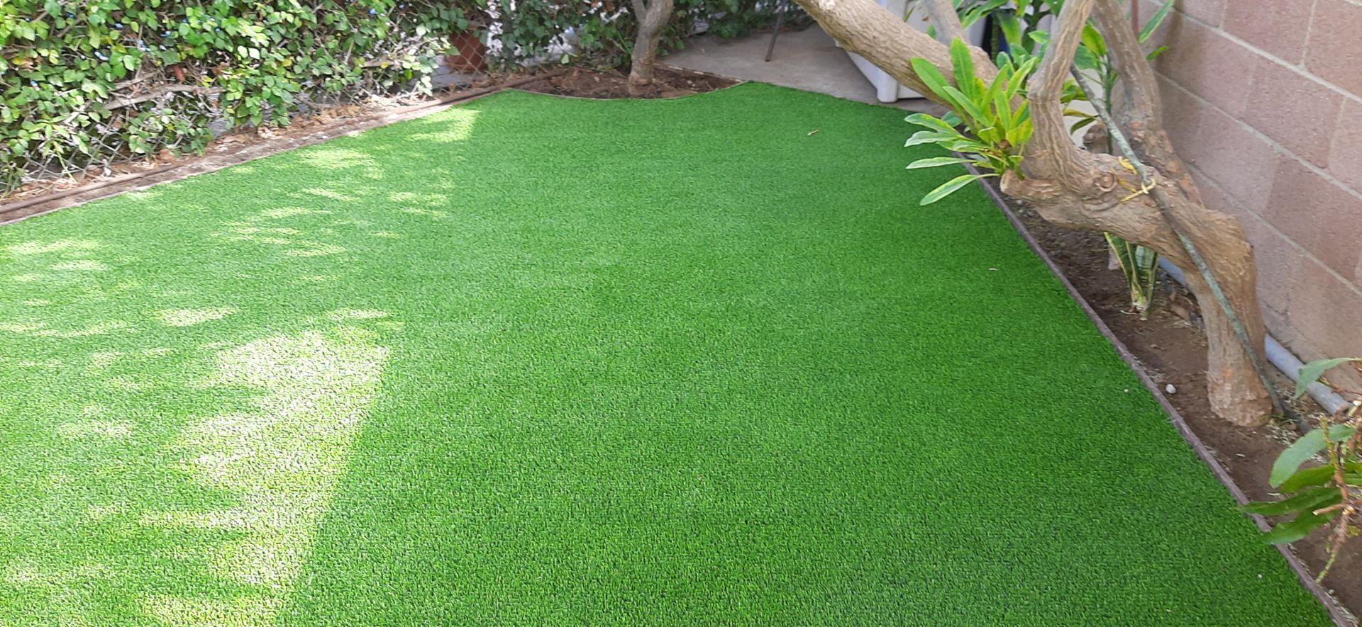 Dog run after pet turf installation