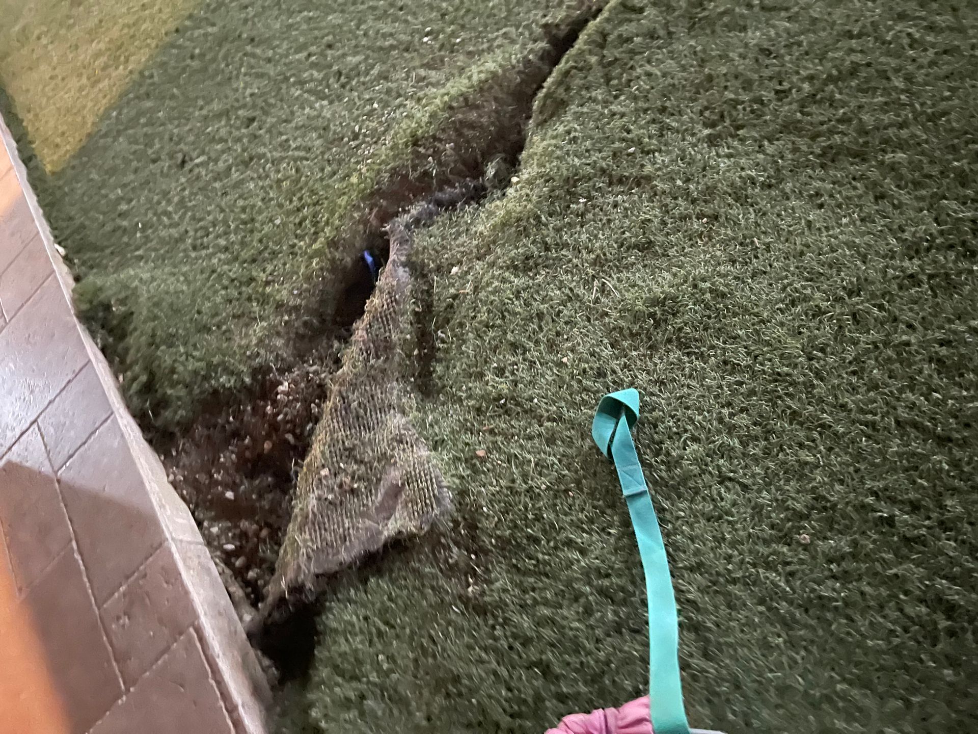 Damaged Pasadena artificial pet turf