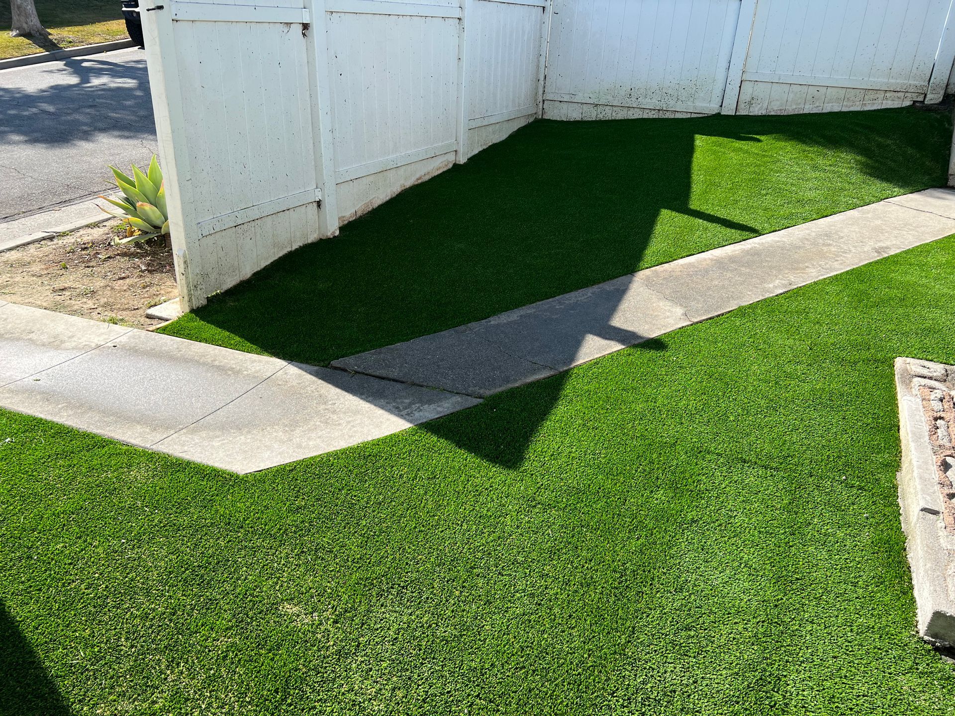 Yard after installing pet turf in Pasadena