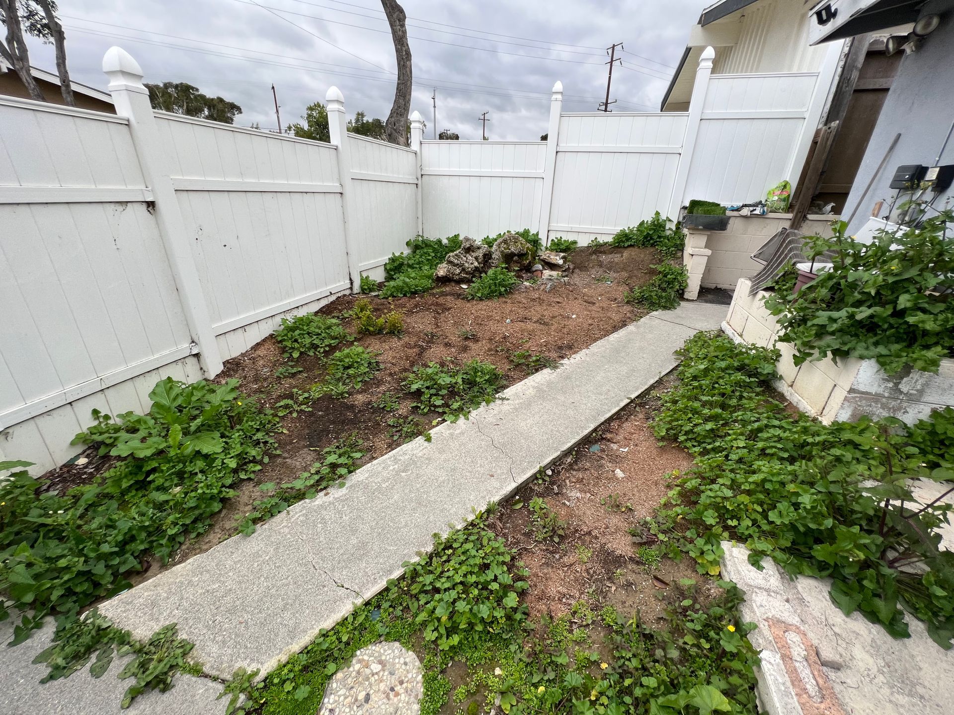 Yard before installing pet turf in Pasadena