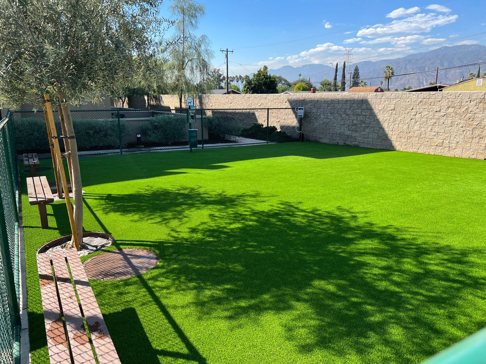 HOA Dog park after turf installation Pasadena