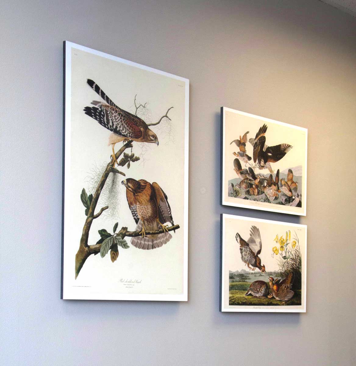 Office Bird Prints