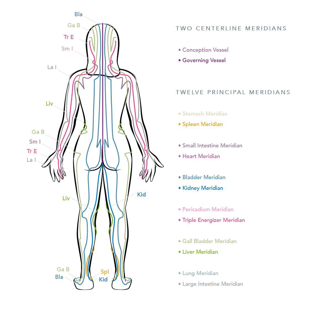 Diagram of the Yin Yoga Meridian Lines