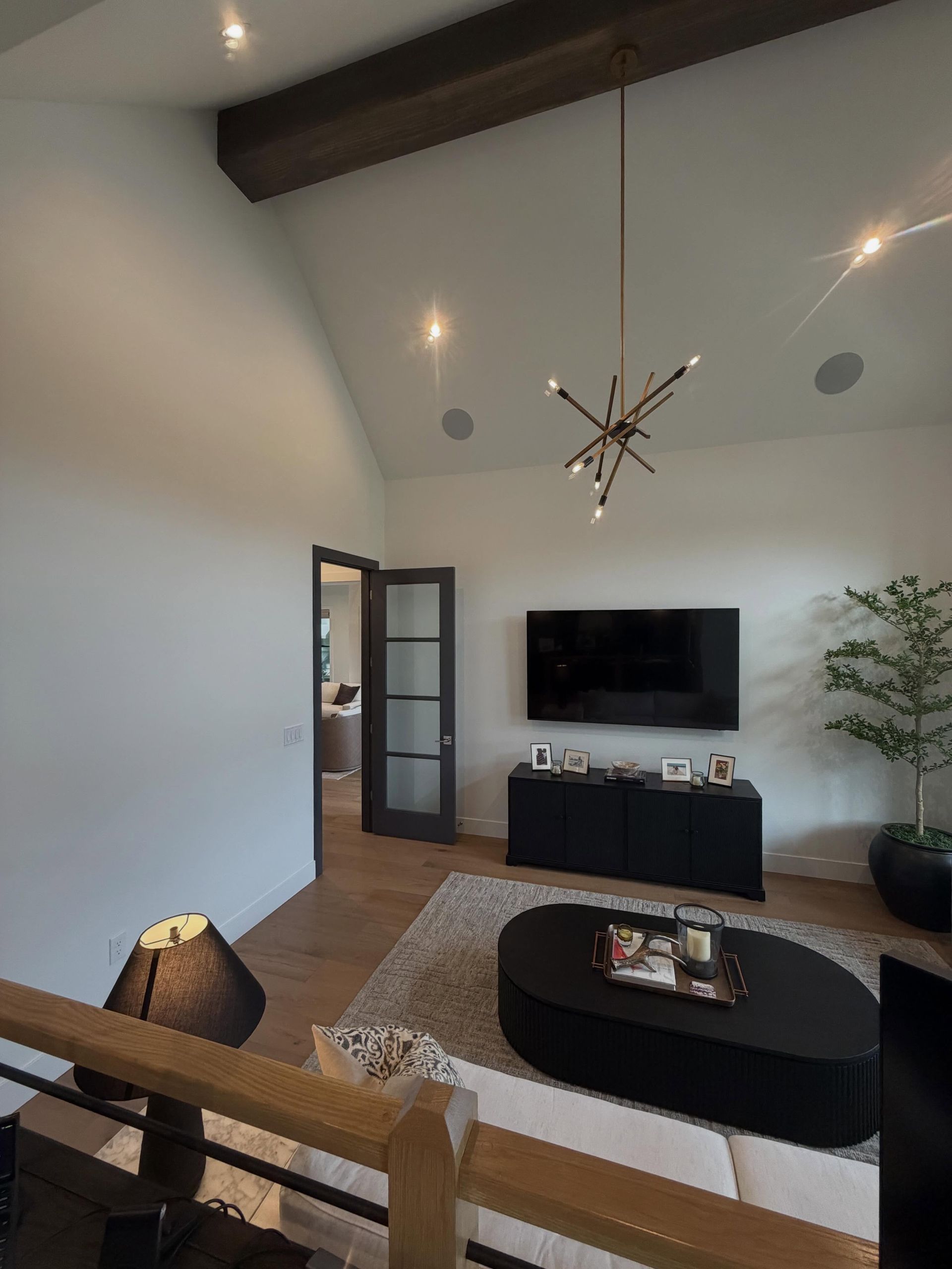 Modern living room with vaulted ceiling, TV, coffee table, sofa, and a potted plant by the wall.