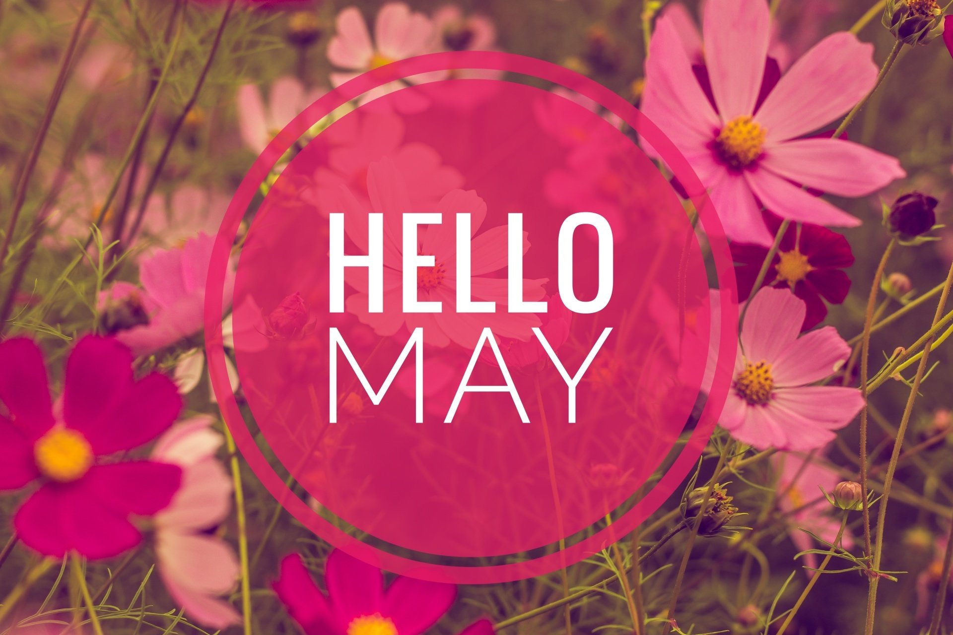 May 2021 Newsletter
