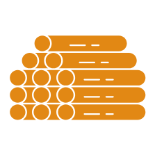 GRUPO LION