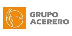 GRUPO LION