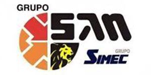GRUPO LION