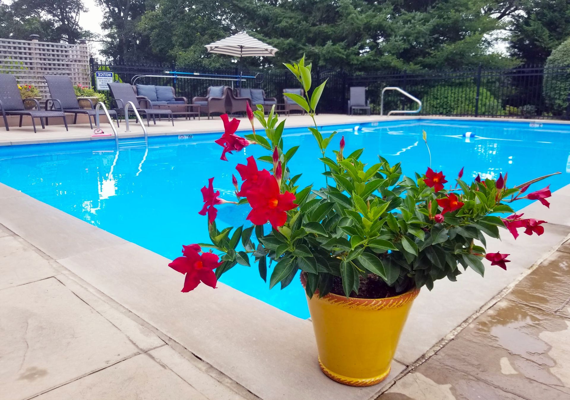 pool