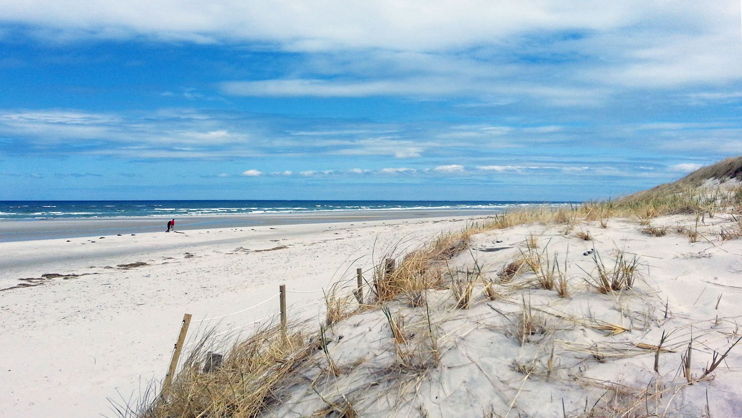 sandy beach