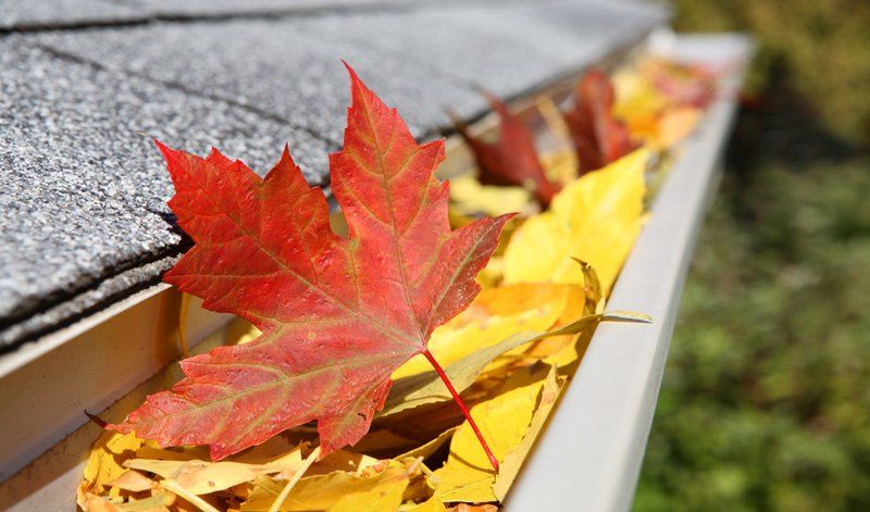 A gutter filled with autumn leaves on a roof.