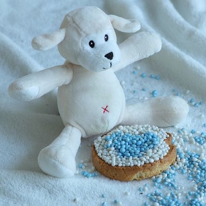 Een knuffeldier dat naast een koekje zit dat bedekt is met blauwe spikkels