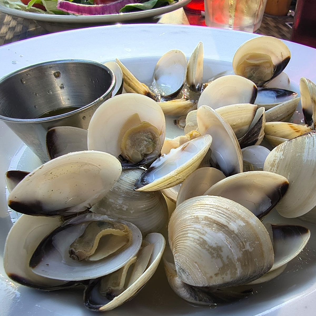 White Oak Inn clams