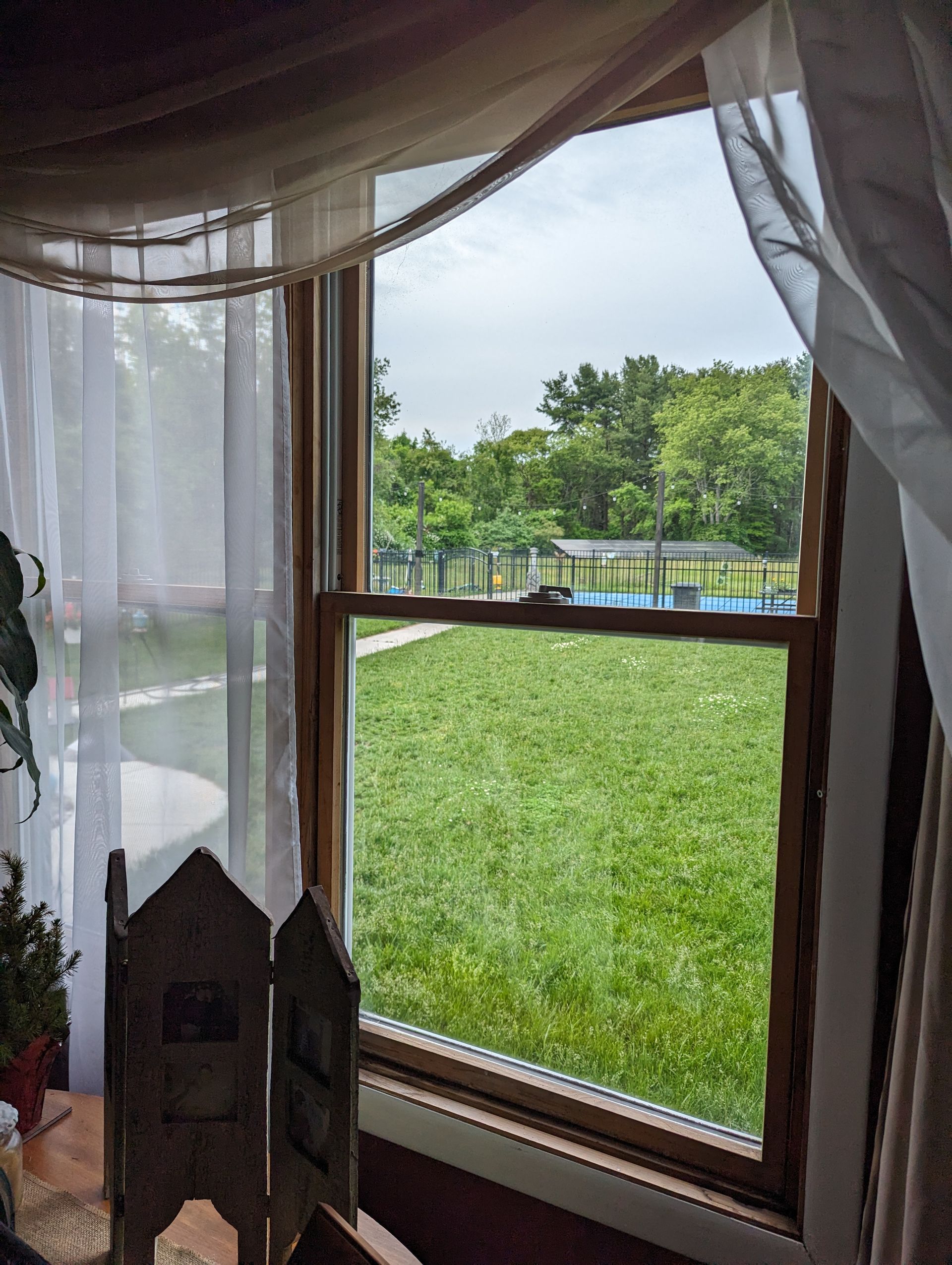 A window with a view of a lush green field