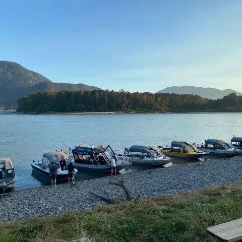 A row of boats are docked on the shore of a lake.