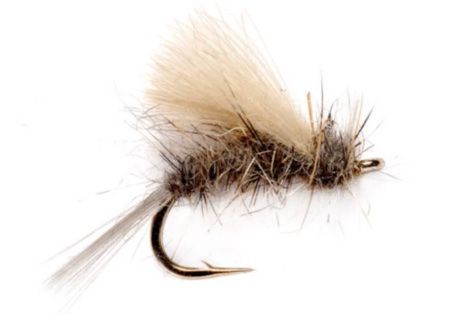 A close up of a fly on a hook on a white background.