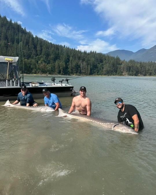 A group of men are holding a large fish in the water.