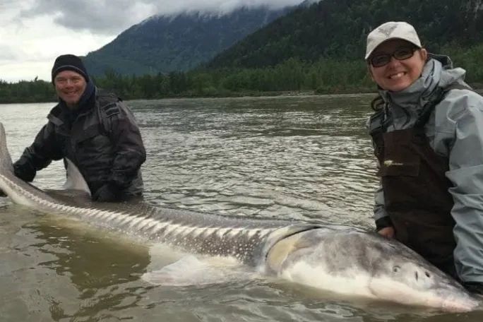 A man and a woman are holding a large fish in the water.