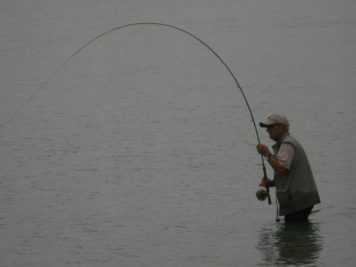 A man is fishing in the water with a fishing rod