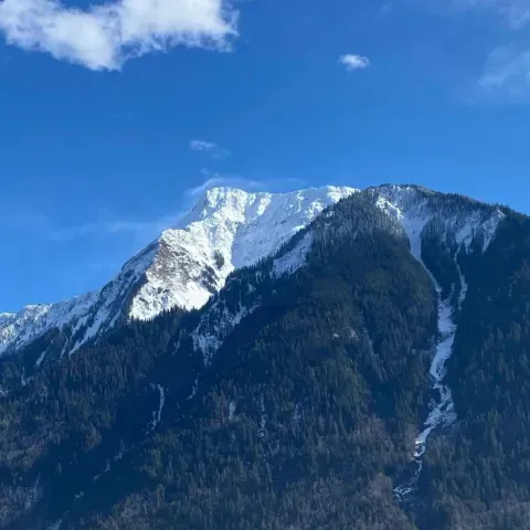 A mountain covered in snow and trees with a blue sky in the background