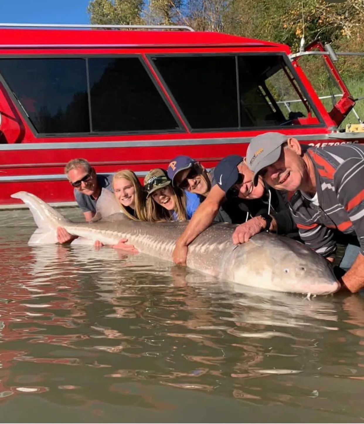 A group of people are standing around a large fish in the water.