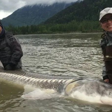 Two men are standing next to a large fish in the water.