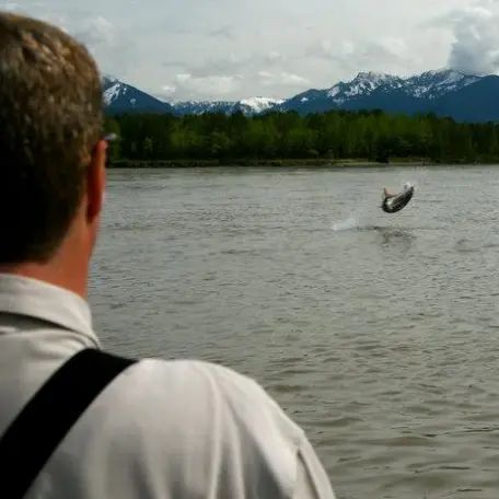 A man is looking at a fish jumping out of the water.