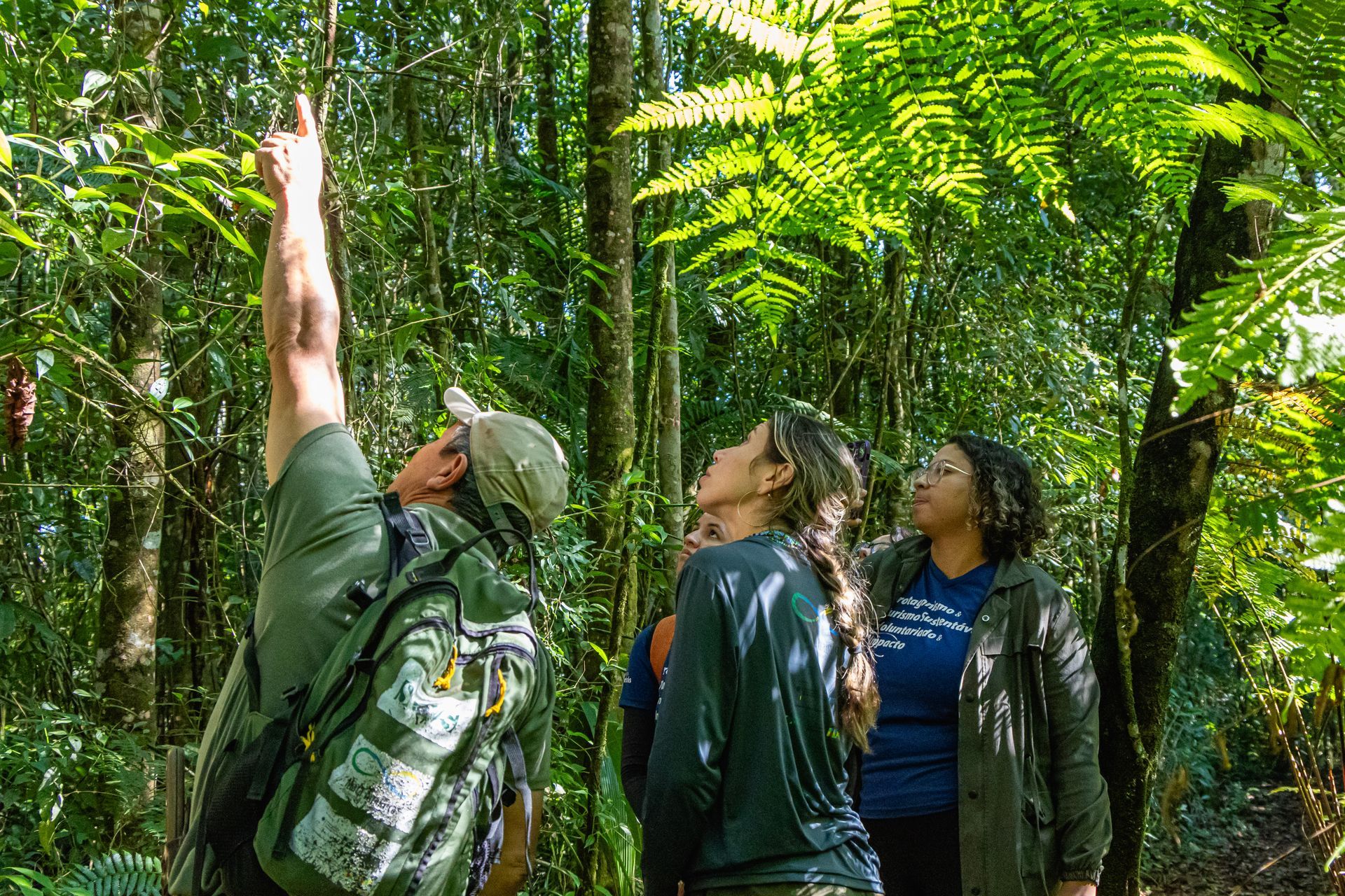 Três pessoas em uma floresta exuberante olham para cima e apontam para as árvores durante uma caminhada guiada pela natureza.