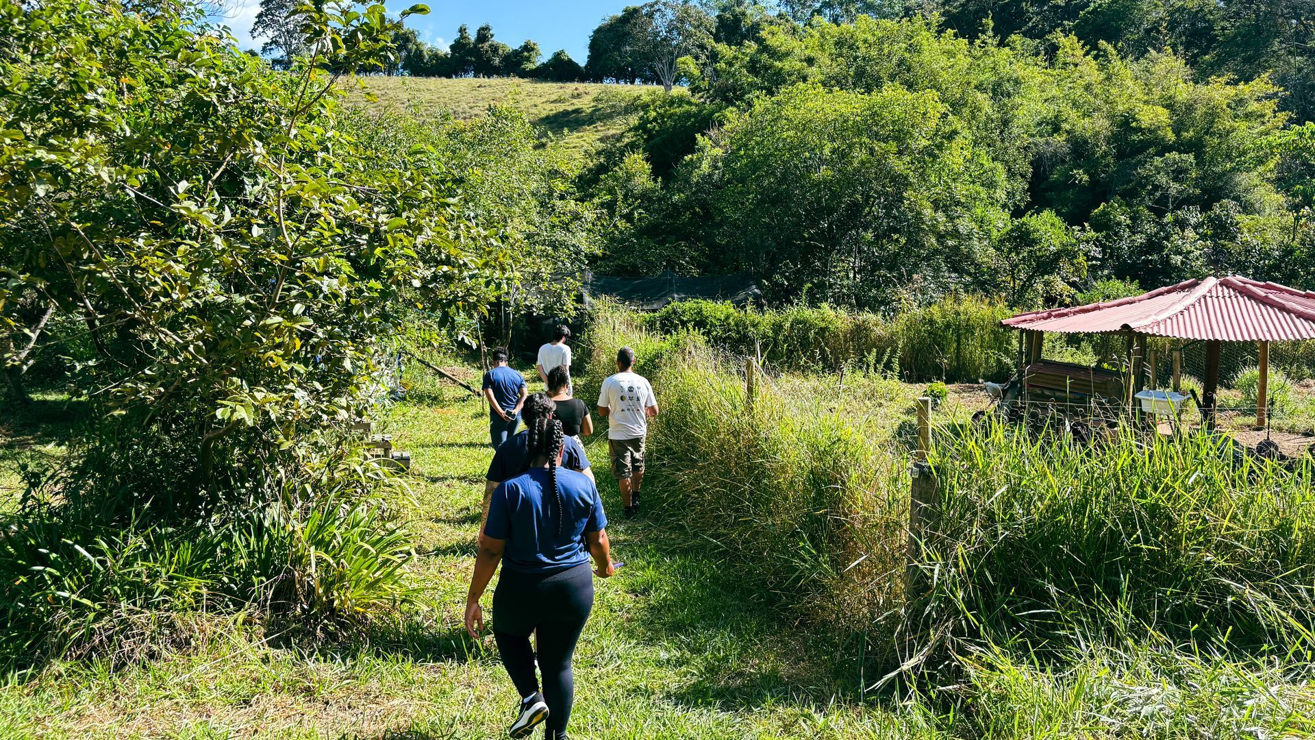 Um grupo de pessoas caminha por uma trilha gramada em uma paisagem rural ensolarada, com árvores e uma pequena construção nas proximidades.