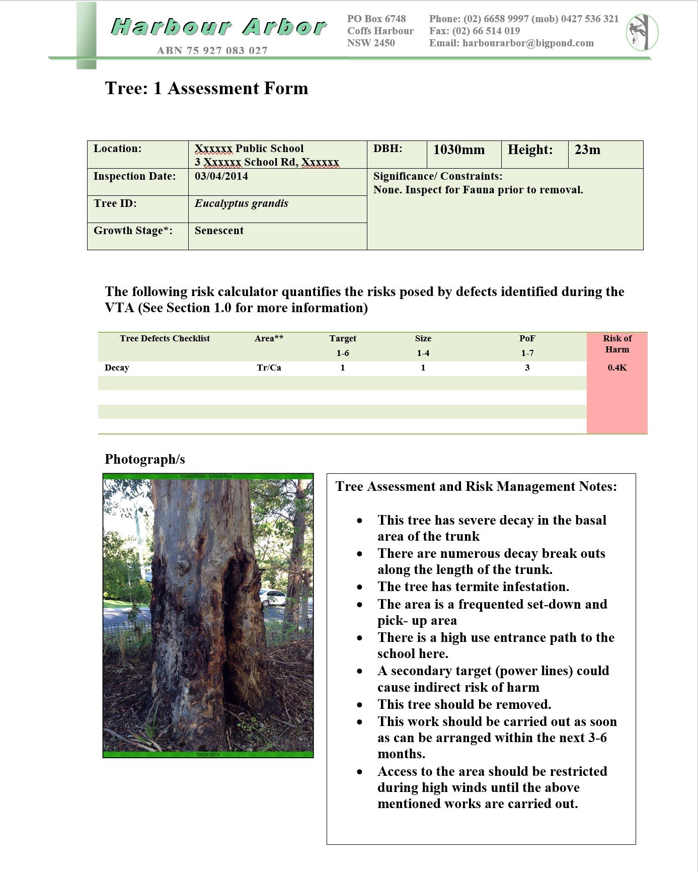 Tree Risk Assessments in Coffs Harbour Harbour Arbor Professional
