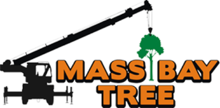 A logo for a tree service company