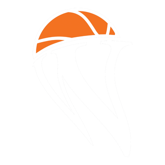 Orange basketball icon with white seam lines on a plain white background