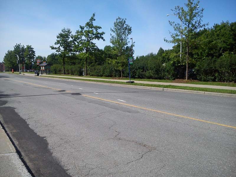 Une rue vide avec des arbres sur le côté