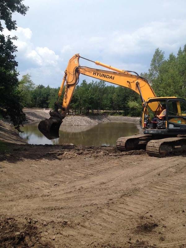 Une excavatrice jaune creuse un trou dans le sol près d’un plan d’eau.