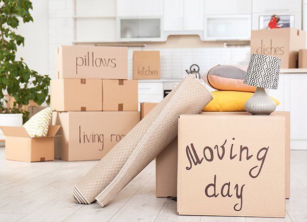 Cardboard Boxes Labelled — JR Removals Mackay in Bucasia, QLD