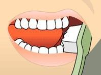 Mouth open wide as a toothbrush cleans the front teeth, showing white teeth and red gums.